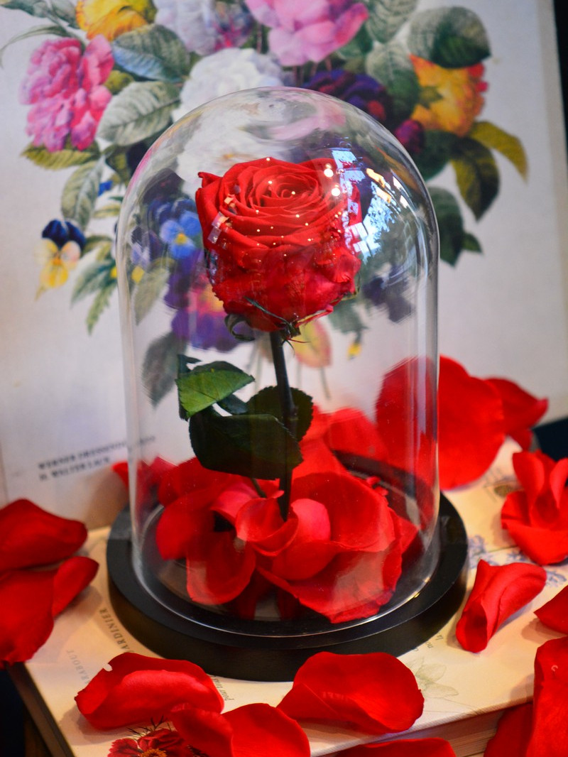 Offrez une rose naturalisée pour la Saint-Valentin